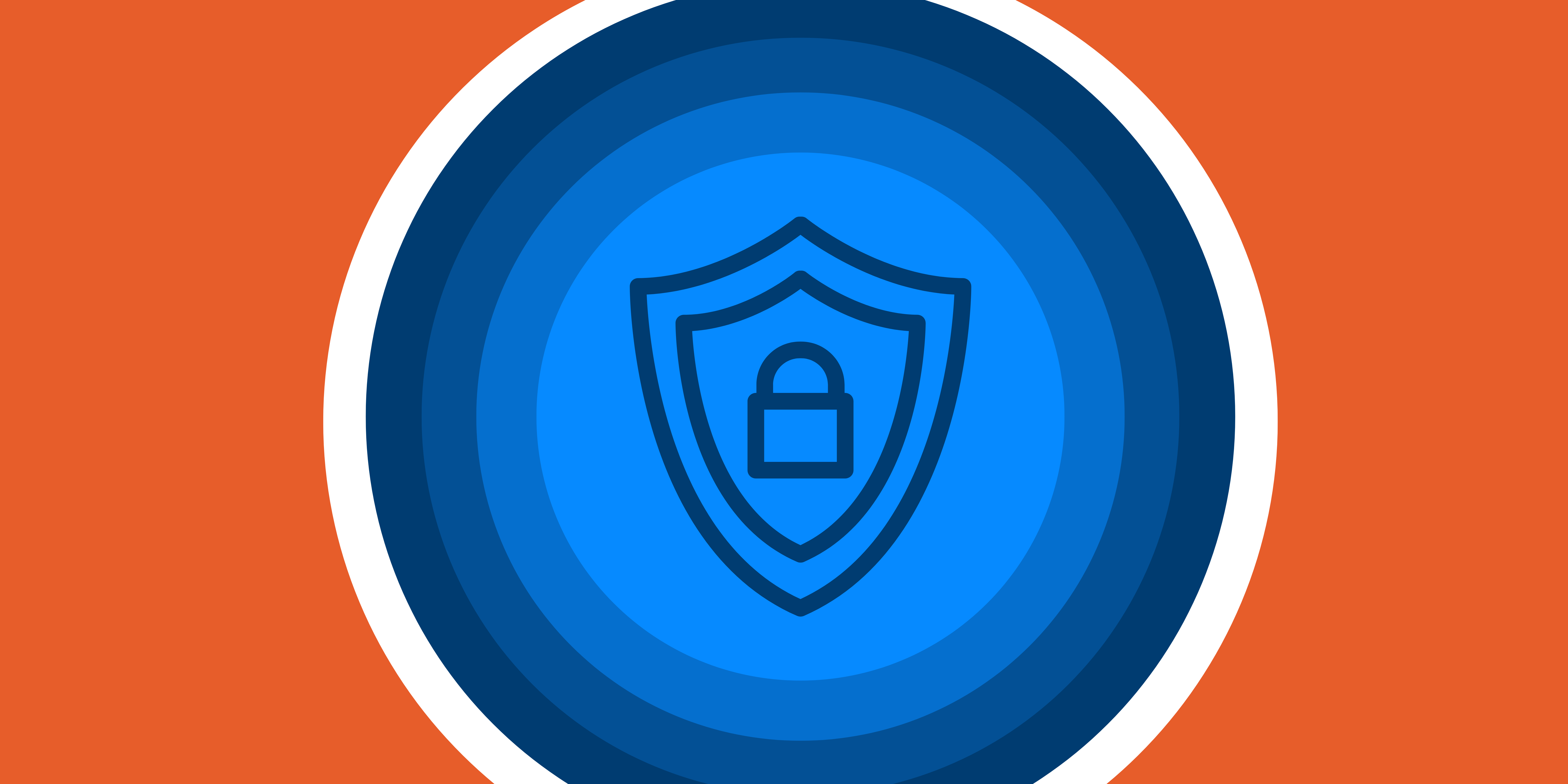 Image of a black shield logo surrounding a lock, placed on a blue circle with an orange background. 